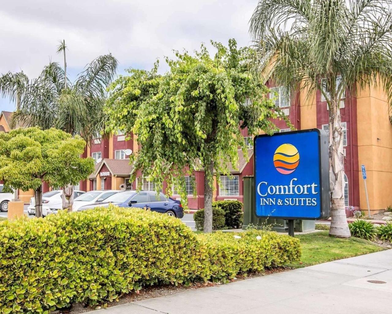 Comfort Inn & Suites Салинас Екстериор снимка